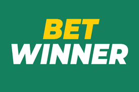 All You Need to Know About Betwinner Betting
