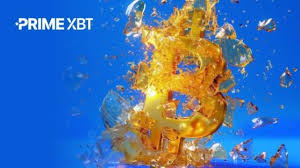 Your Guide to Profiting with PrimeXBT Trading Platform